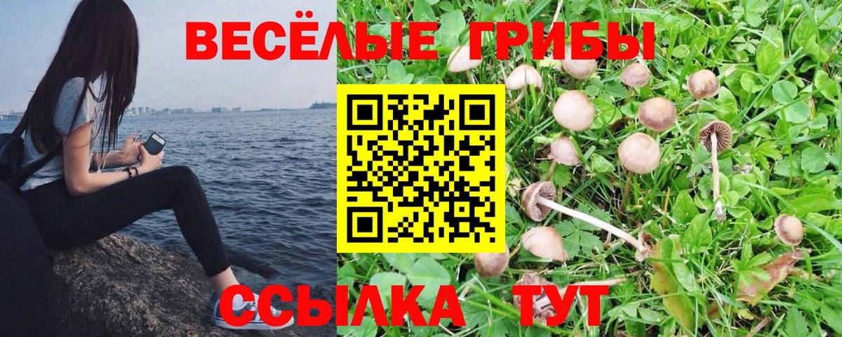 Нижний Новгород  Галлюциногенные грибы Cubensis  Галлюциногенные грибы прущие грибы  купить наркотик  Вход с VPN 